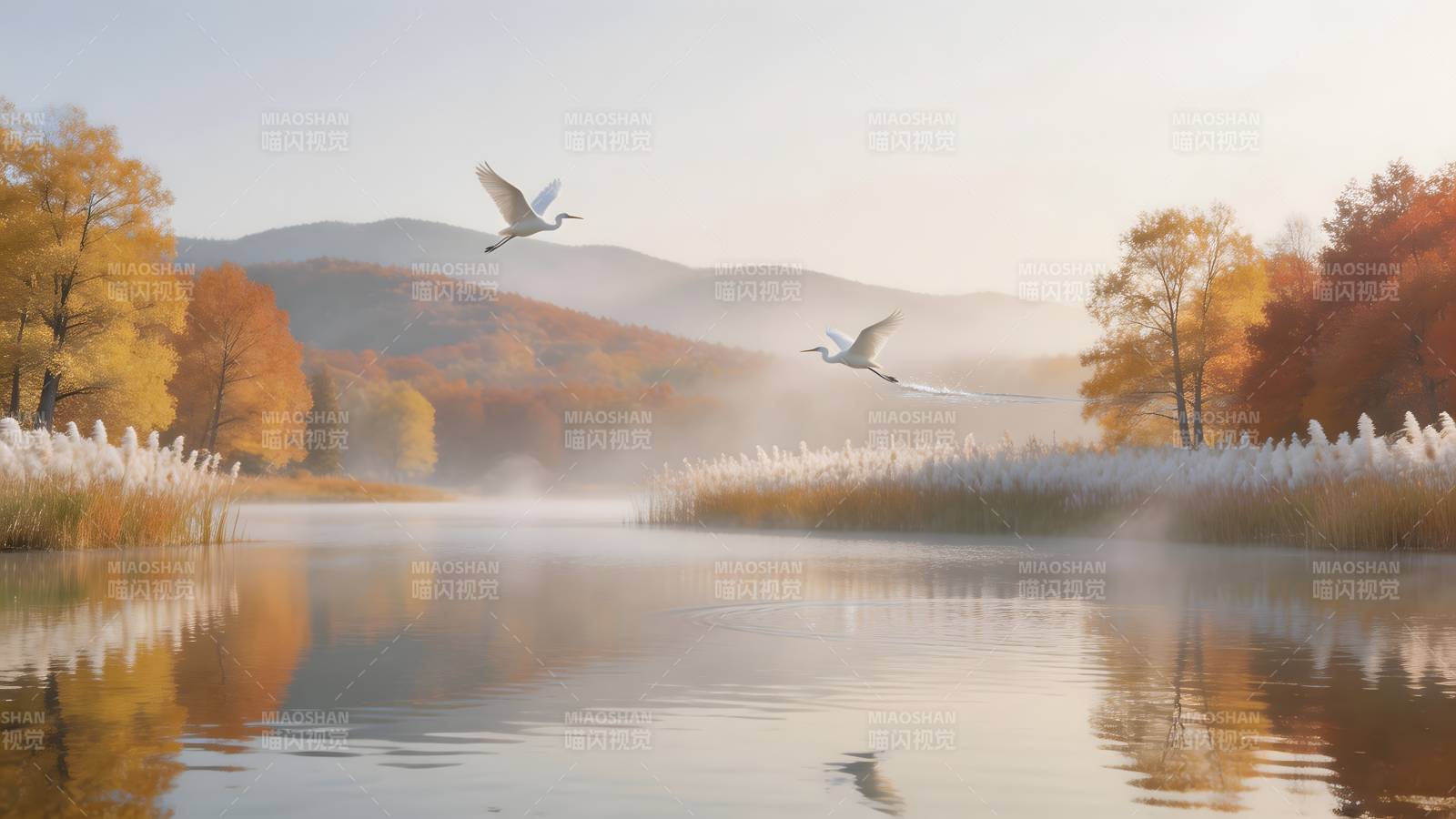 秋湖飞雁图片