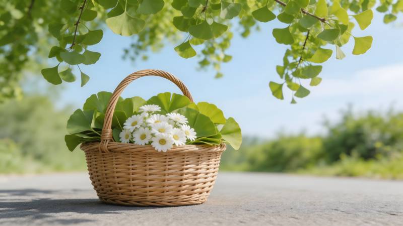 花篮静置树荫下图片