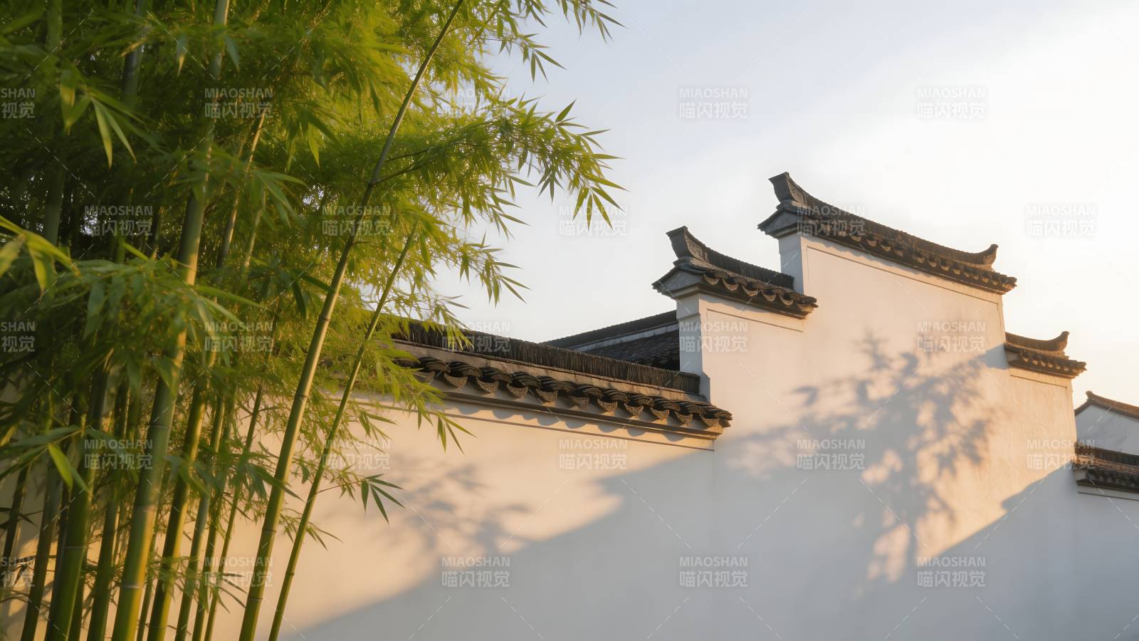 竹影白墙古韵图片
