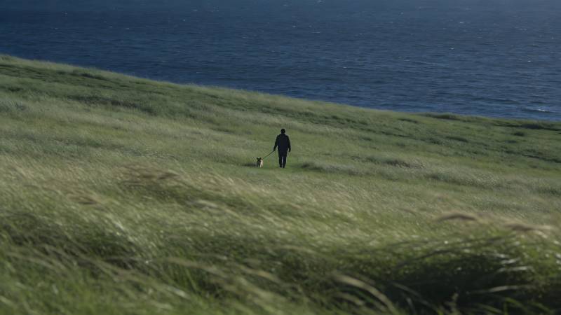 海边草坡散步图片