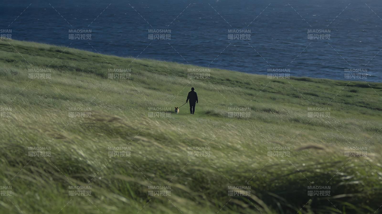 海边草坡散步图片