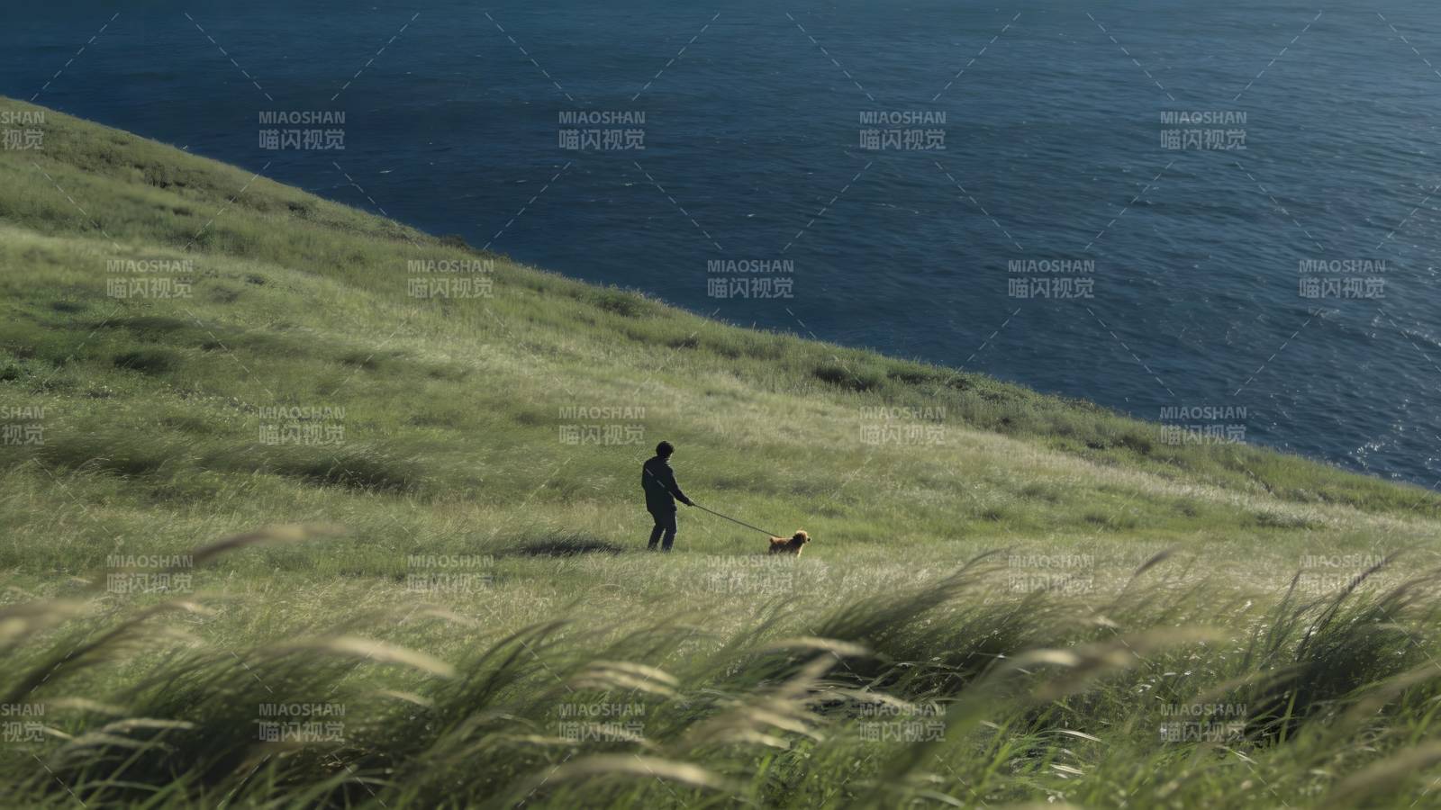 海边草坡遛狗人图片