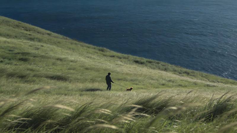 海边草坡遛狗人图片