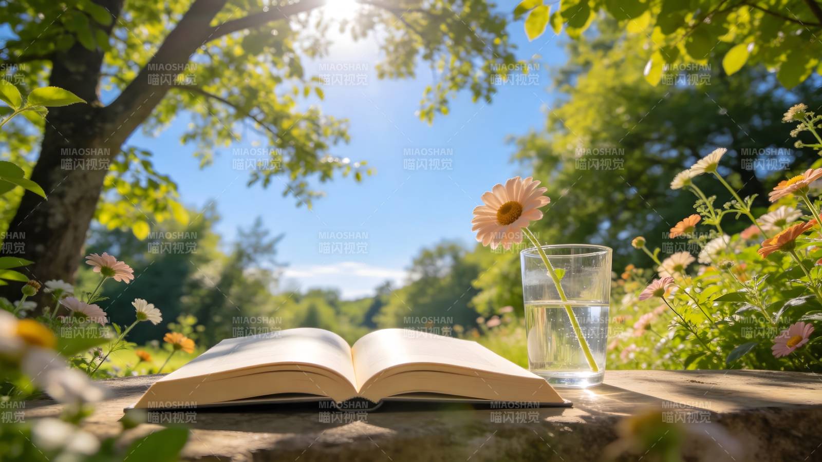 书香伴花香图片