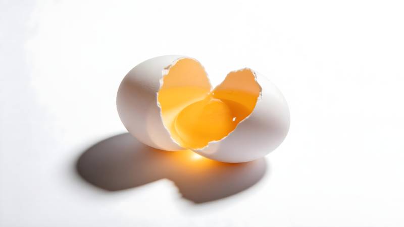 蛋壳中的金黄光芒图片