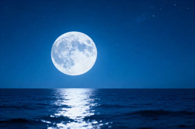 明月照海面图片
