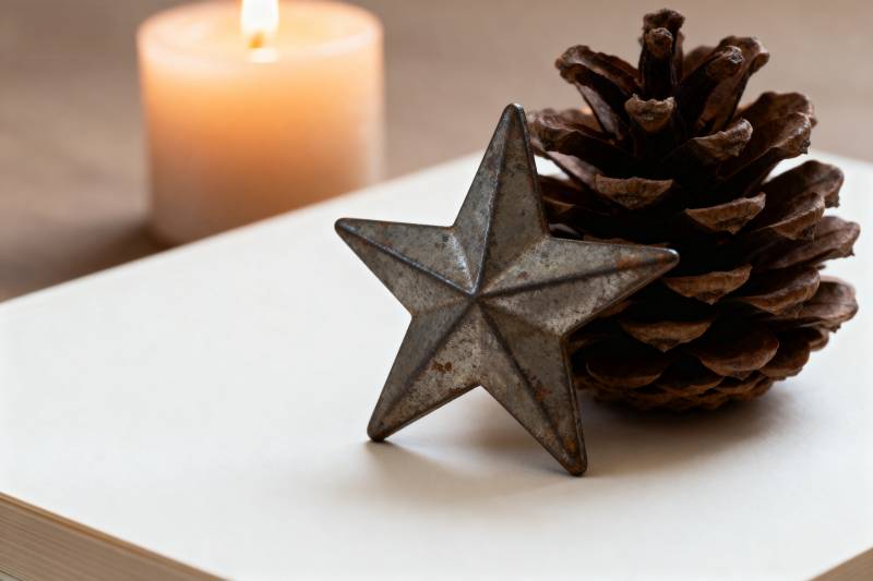 星与松果静谧相伴图片