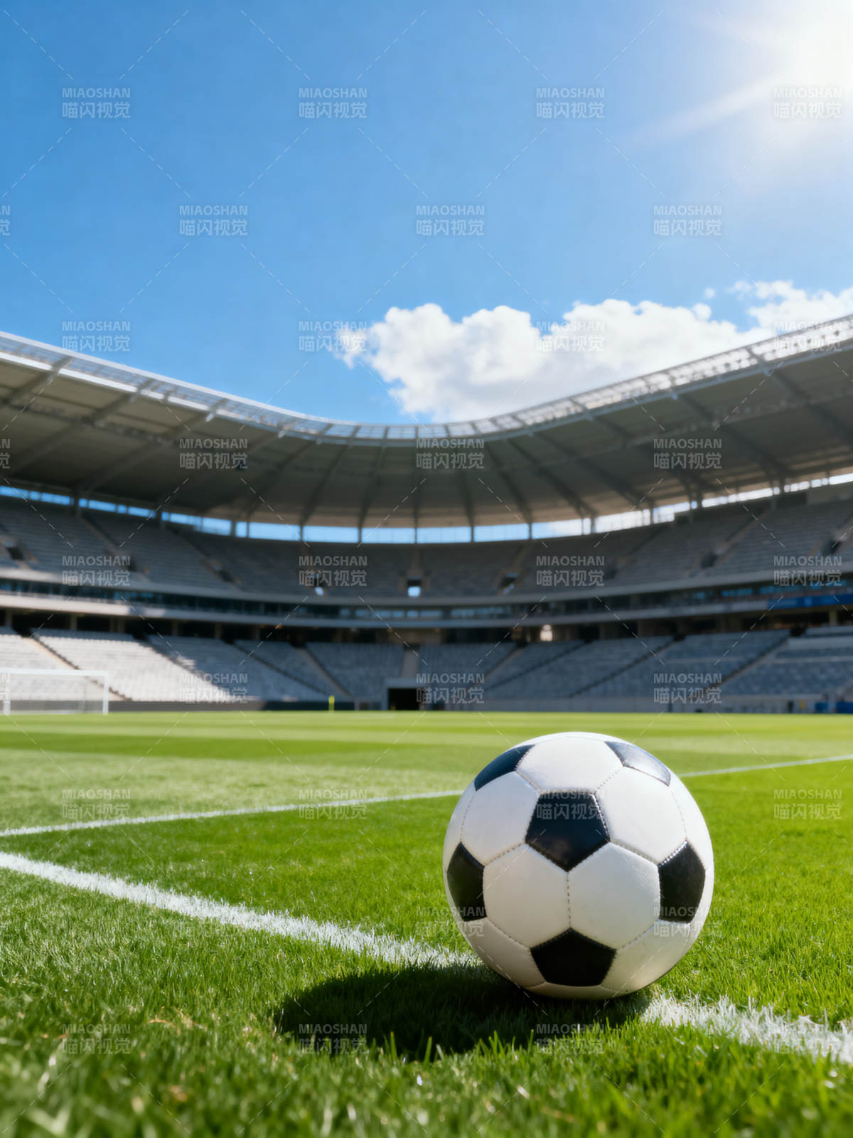 绿茵场上的足球图片