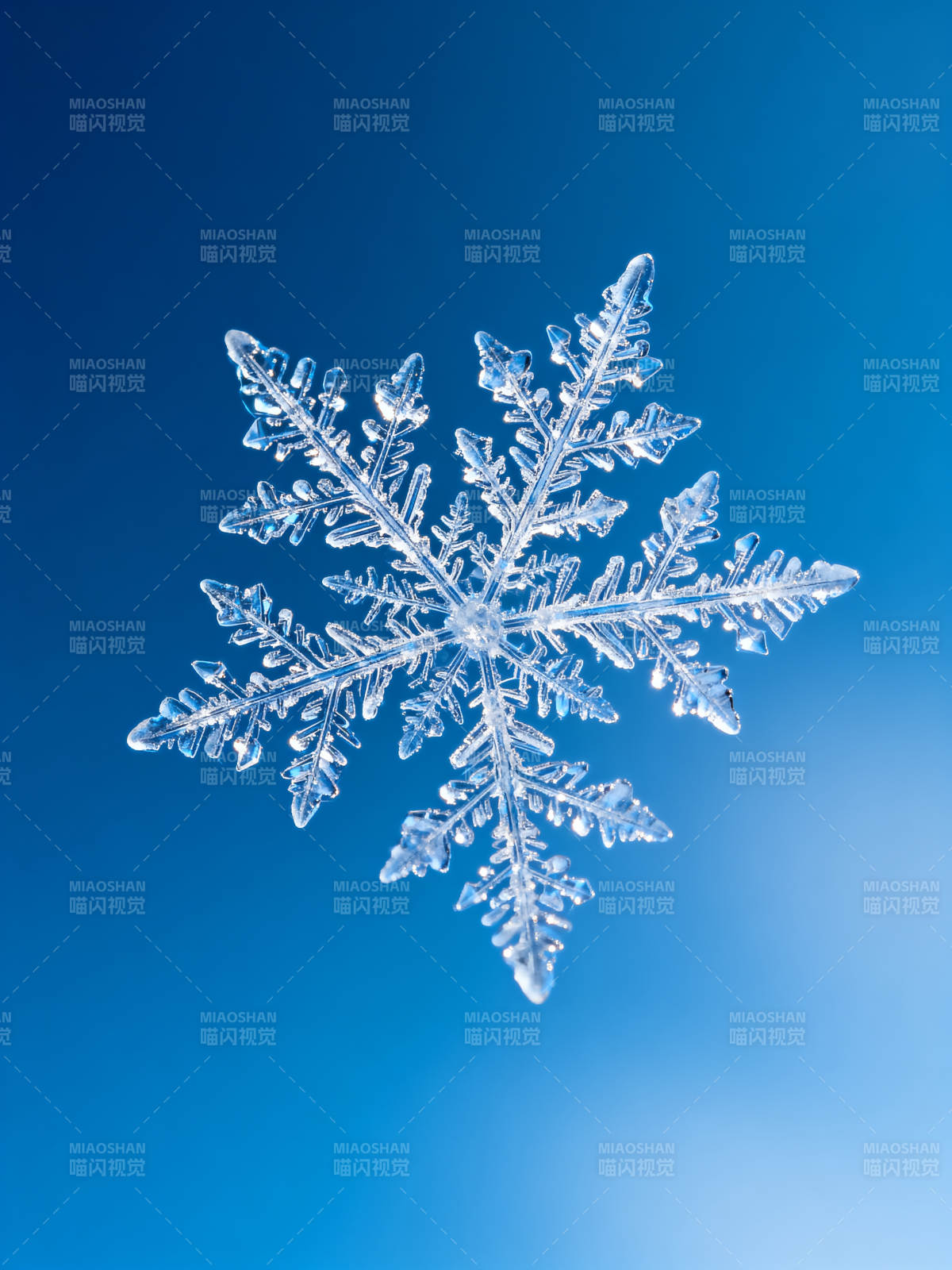 晶莹雪花飘落图片