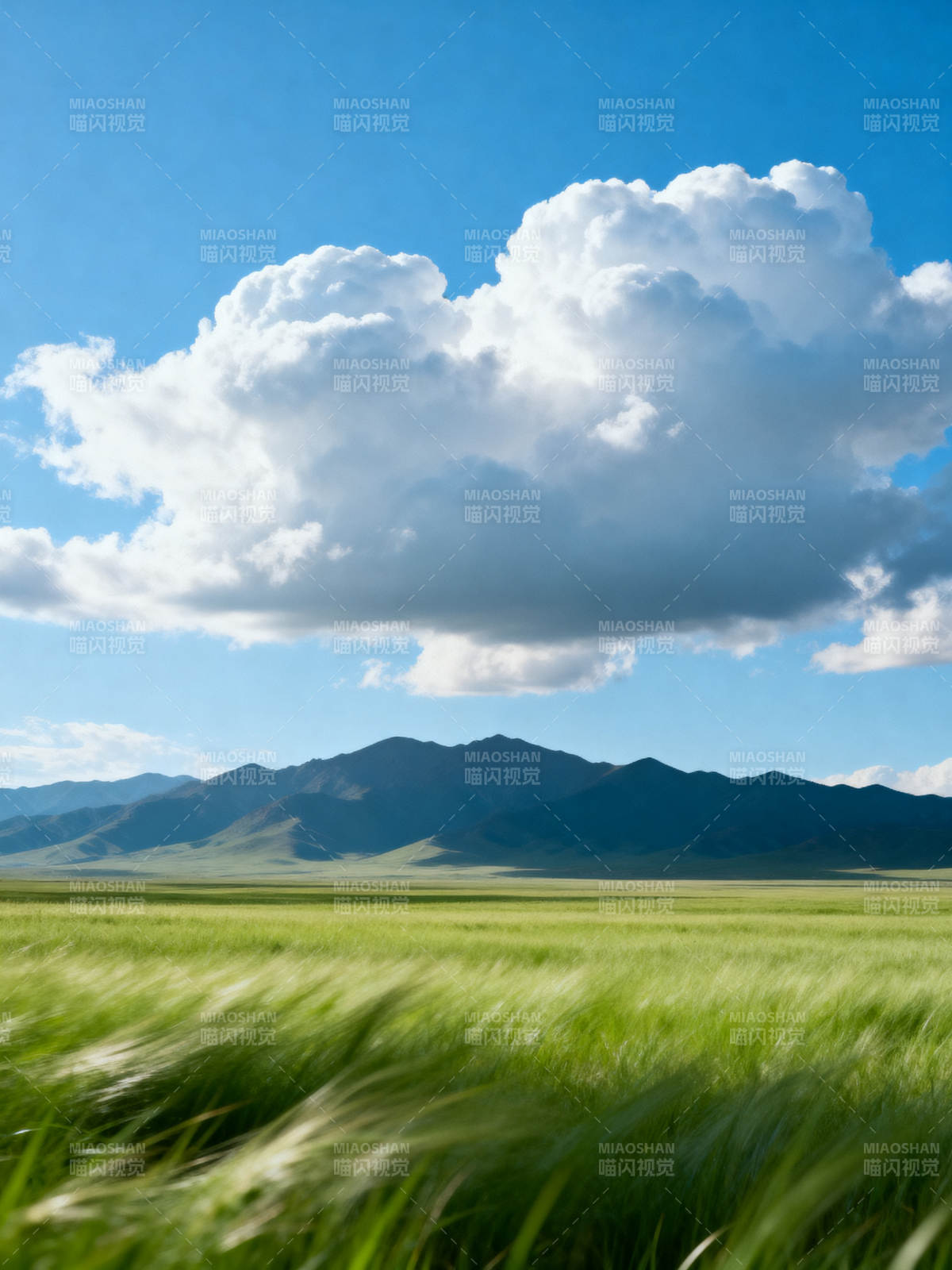 草原云影山峦图片