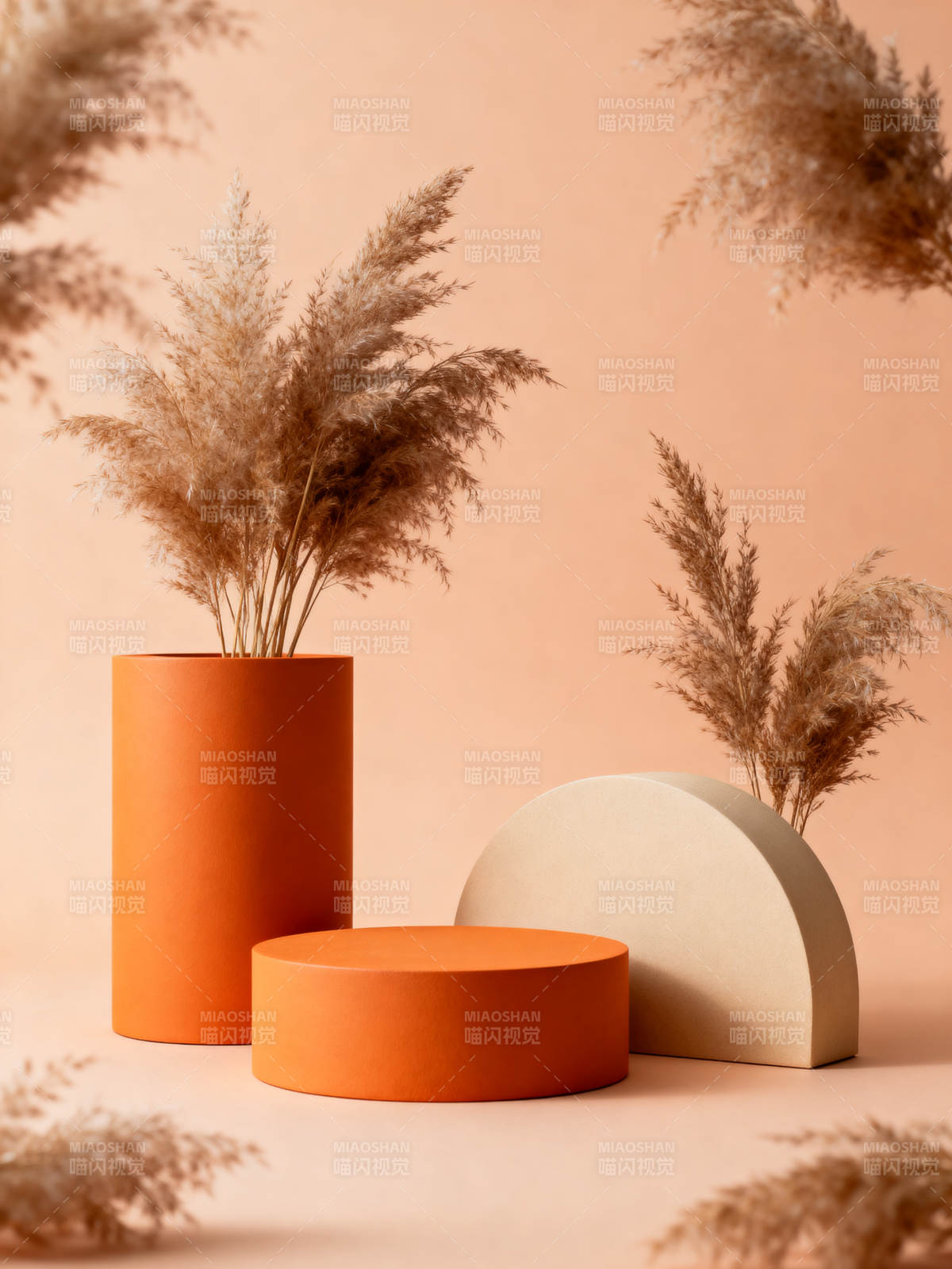 暖色几何植物静物图片