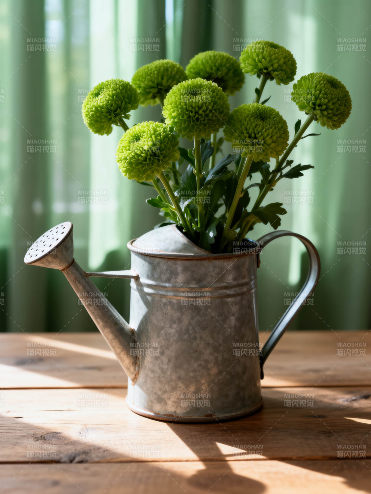 绿菊映水壶图片