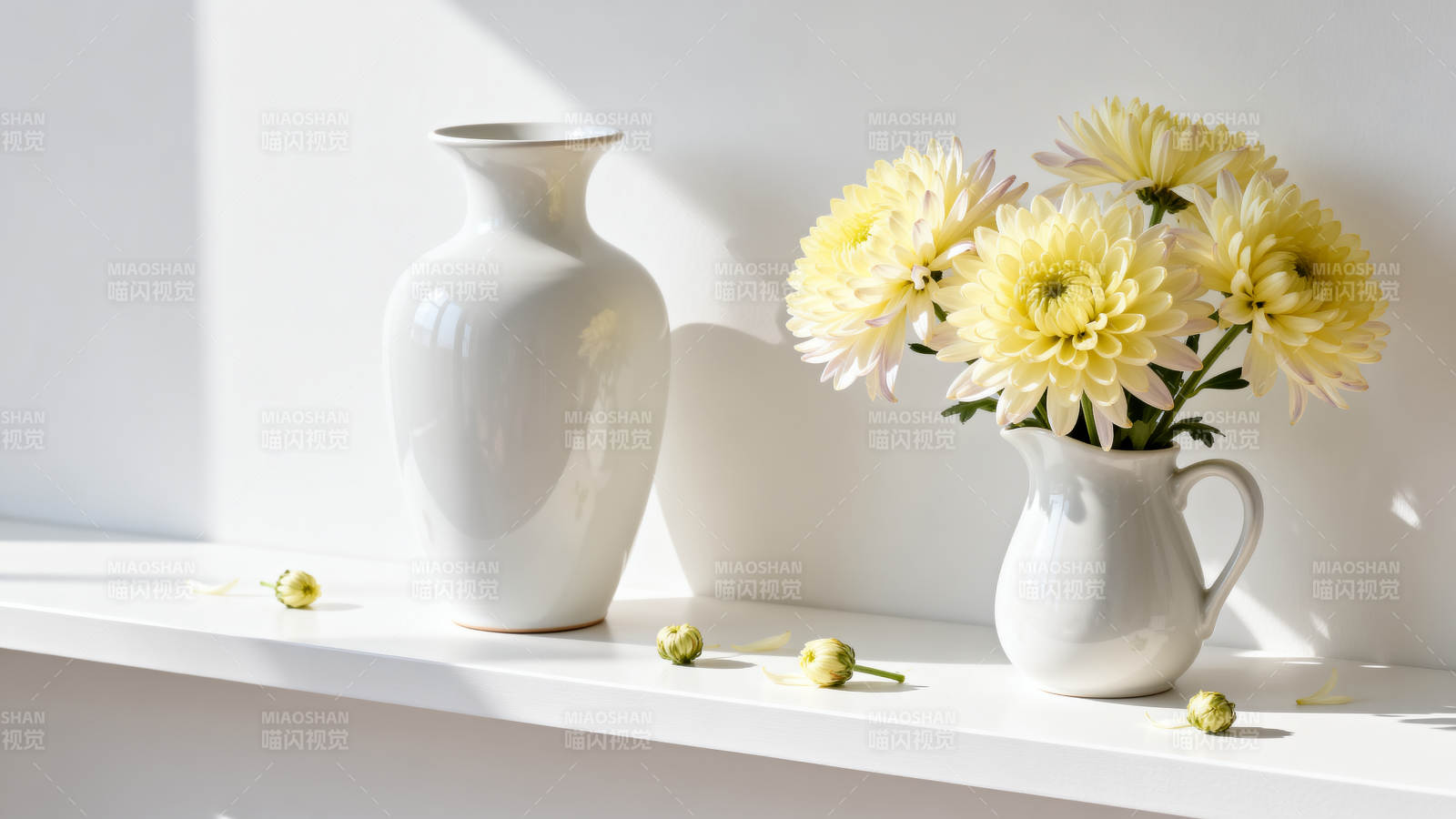 花瓶与菊花静物图片