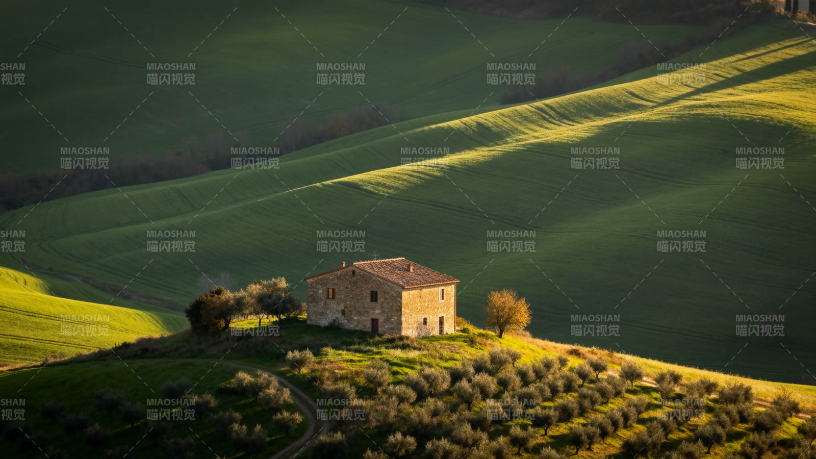 田园孤屋晨光图片