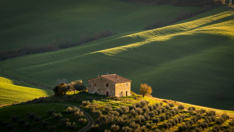 田园孤屋晨光图片