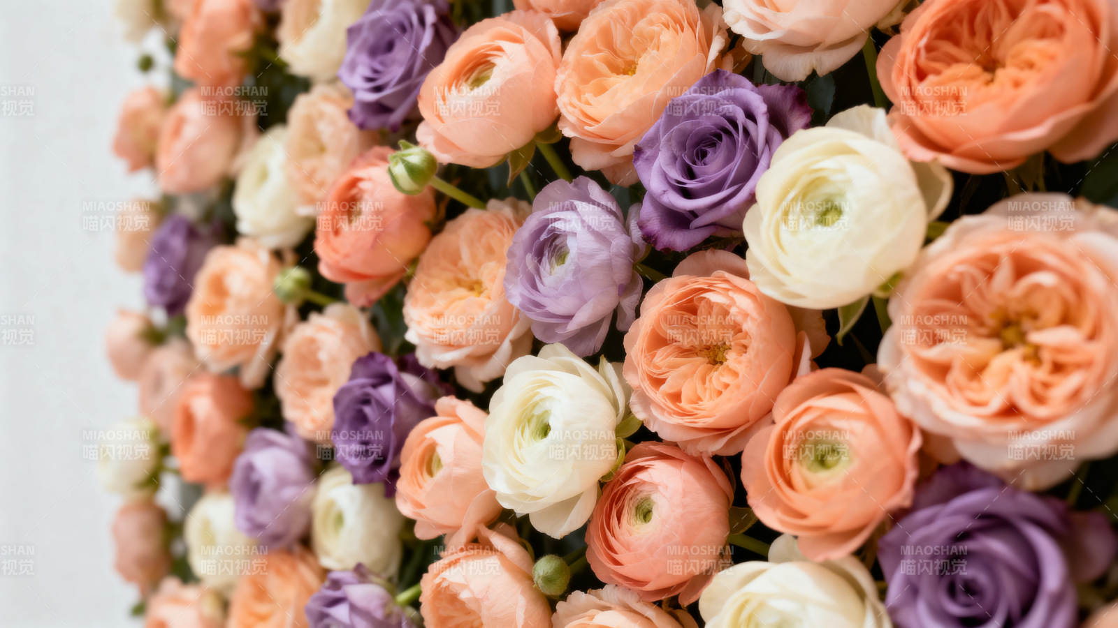 花团锦簇 色彩斑斓图片