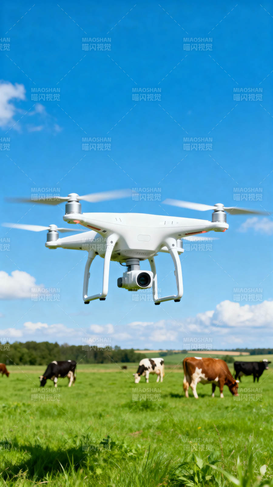无人机巡田牧牛图片