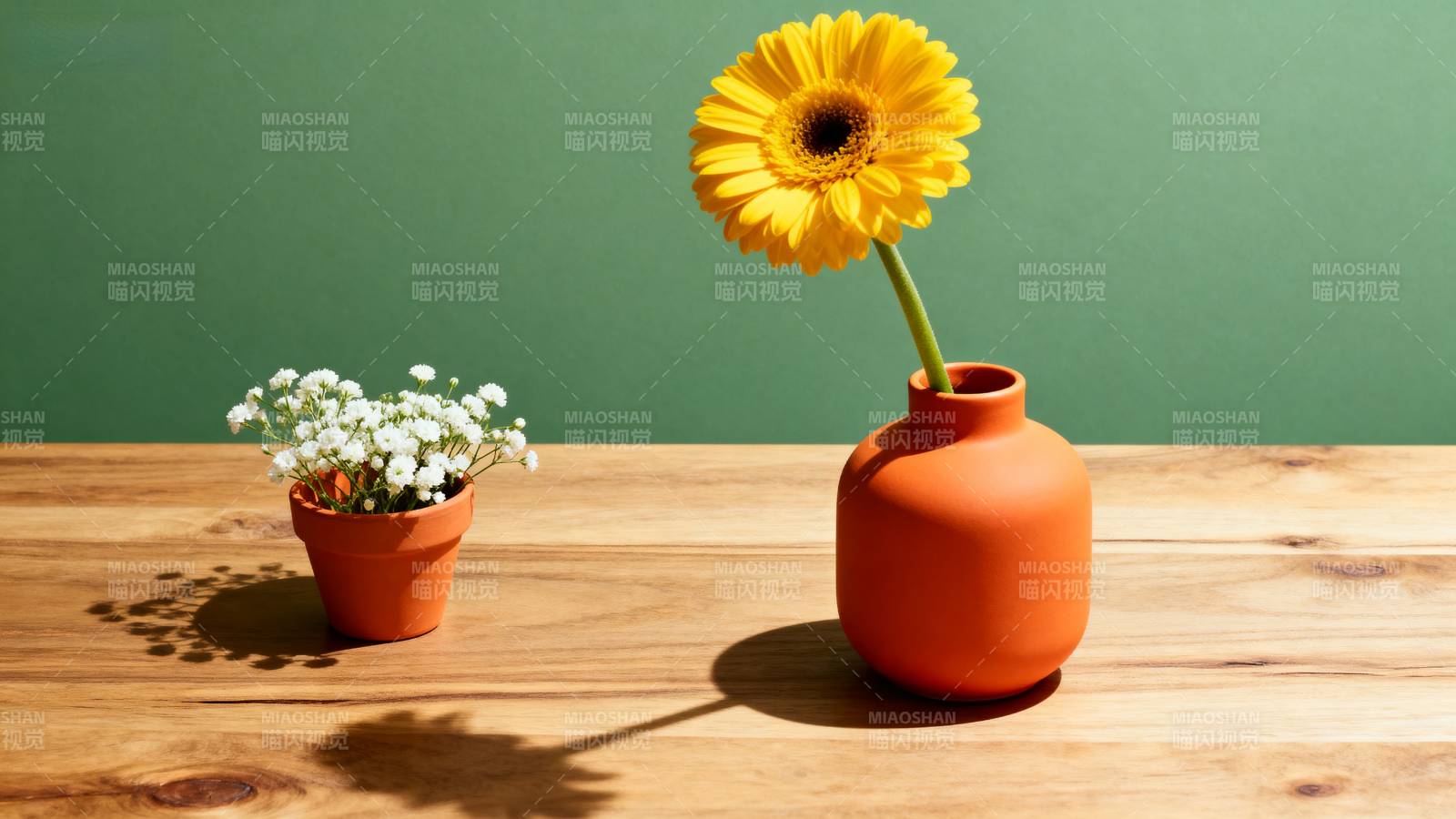 黄花与小白花静置图片