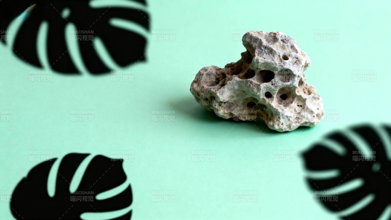 绿底石与叶影图片