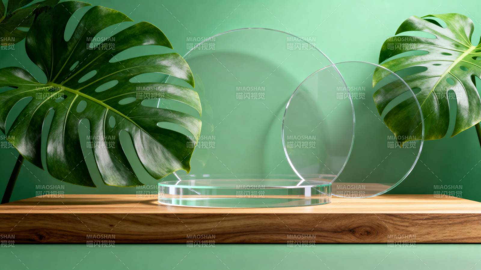 绿叶映衬透明展台图片