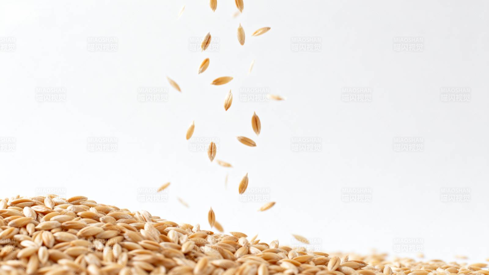 麦粒飘落图片