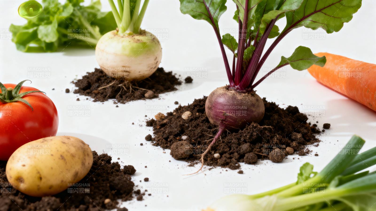 新鲜蔬菜与土壤图片