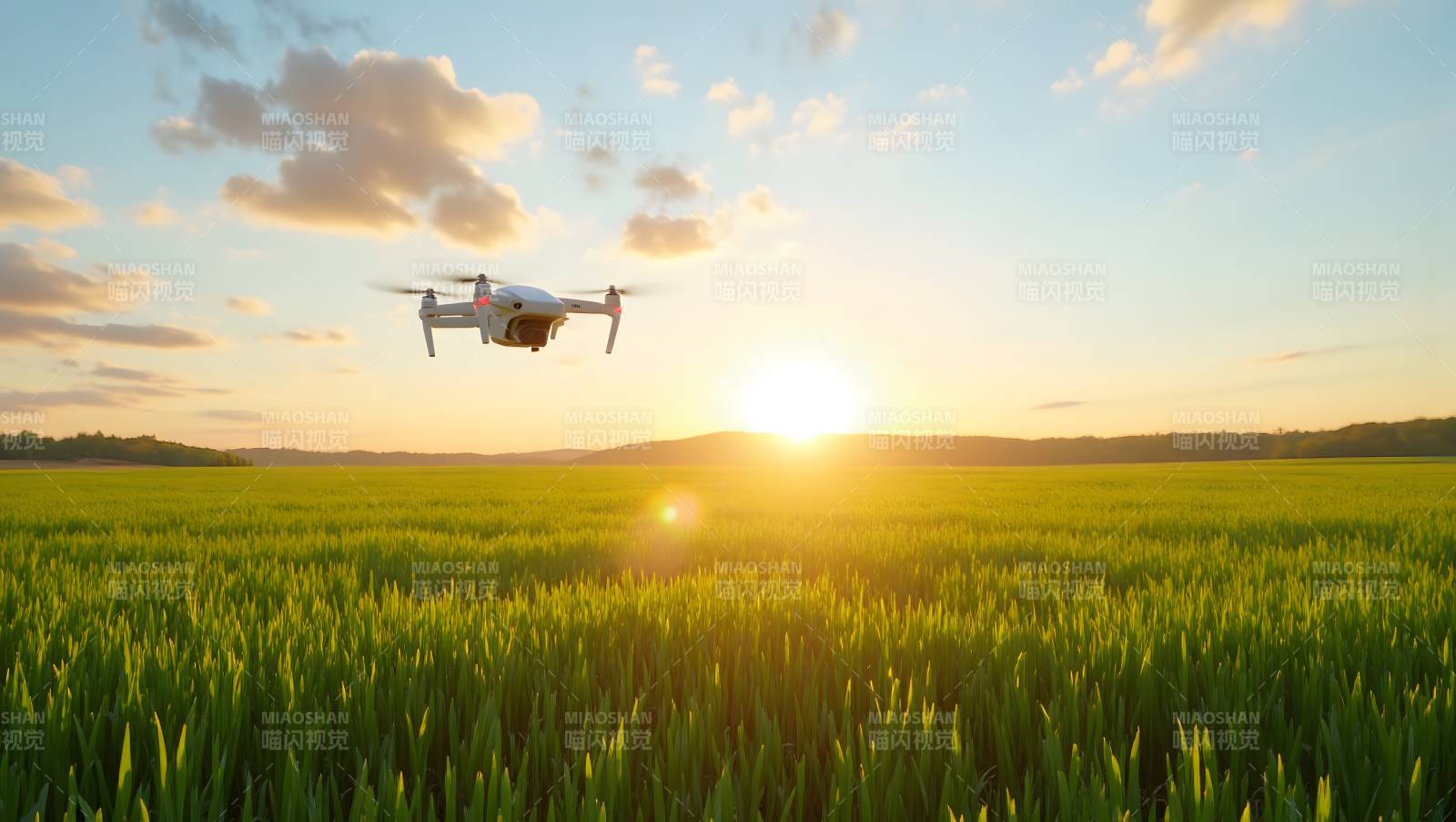 无人机飞越麦田图片