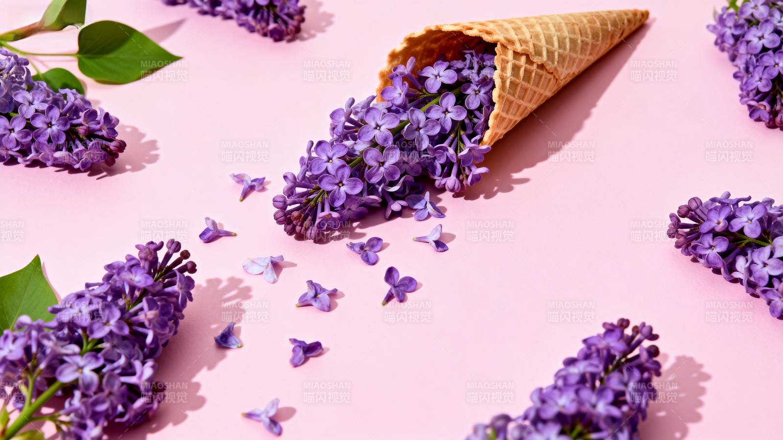 紫藤花与冰淇淋锥图片