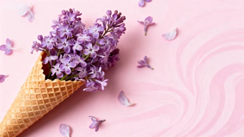 紫花冰激凌图片