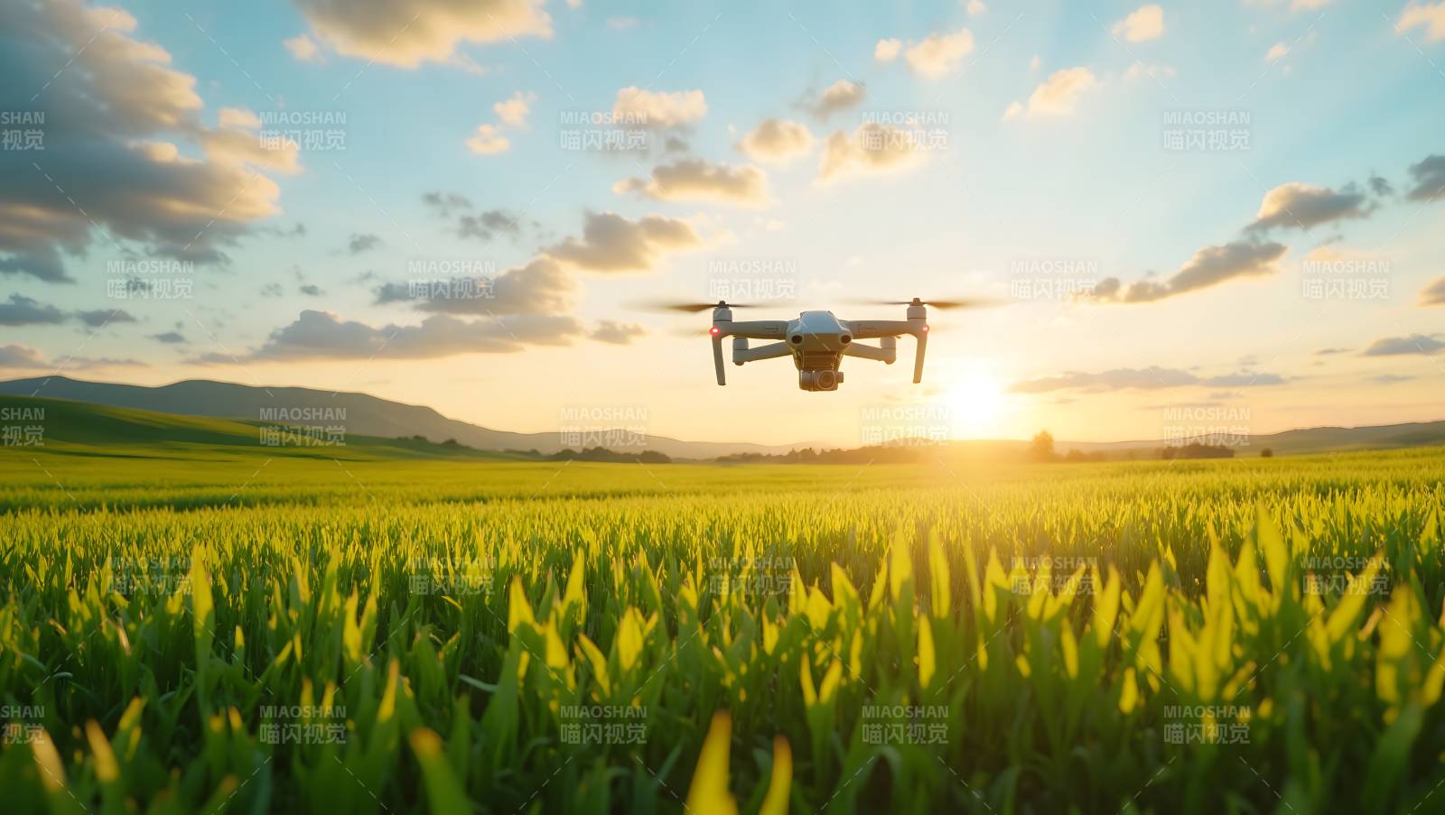 无人机飞越绿野图片