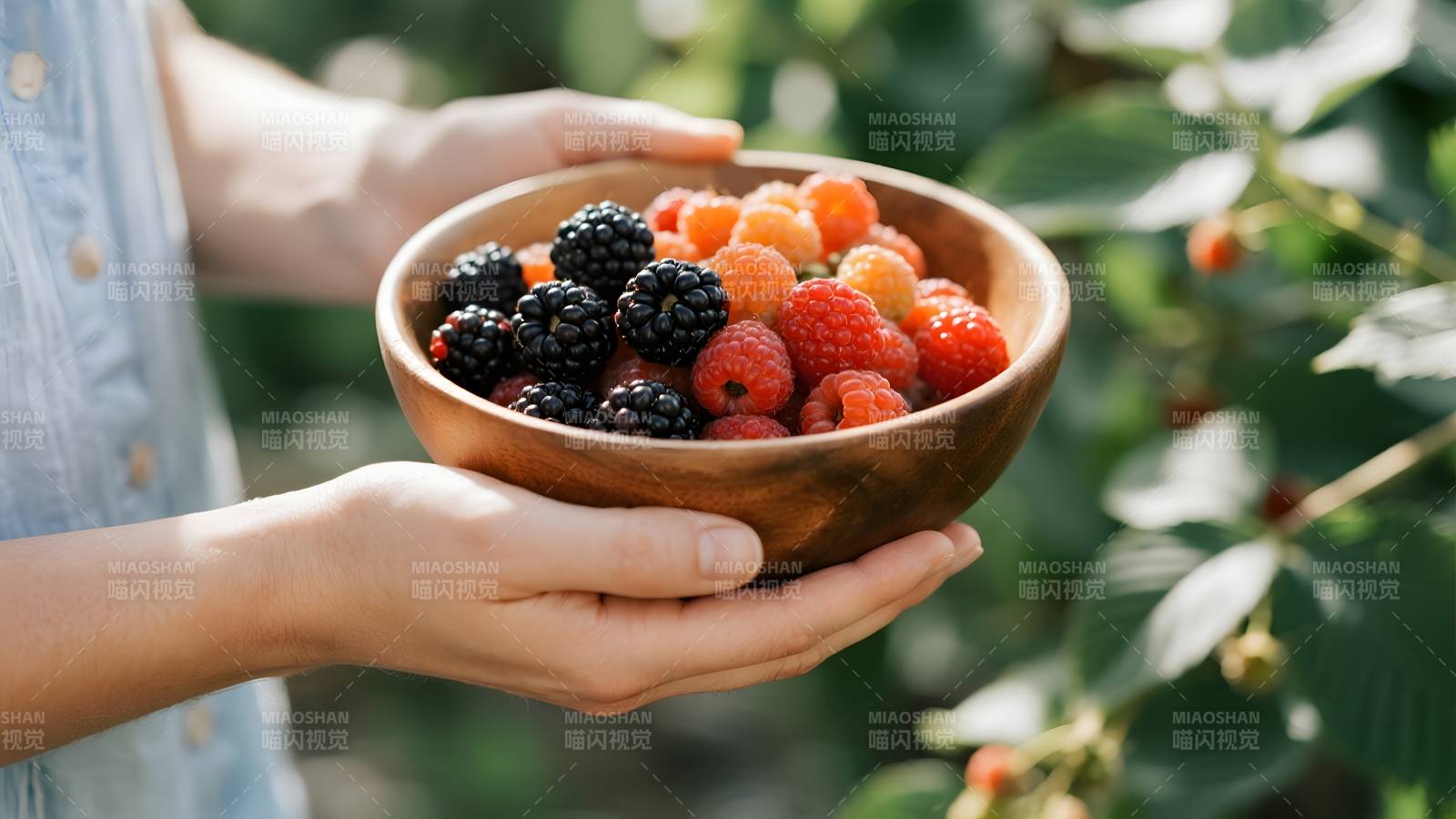 手捧新鲜浆果图片