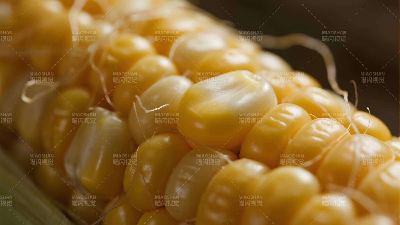 金黄玉米特写图片