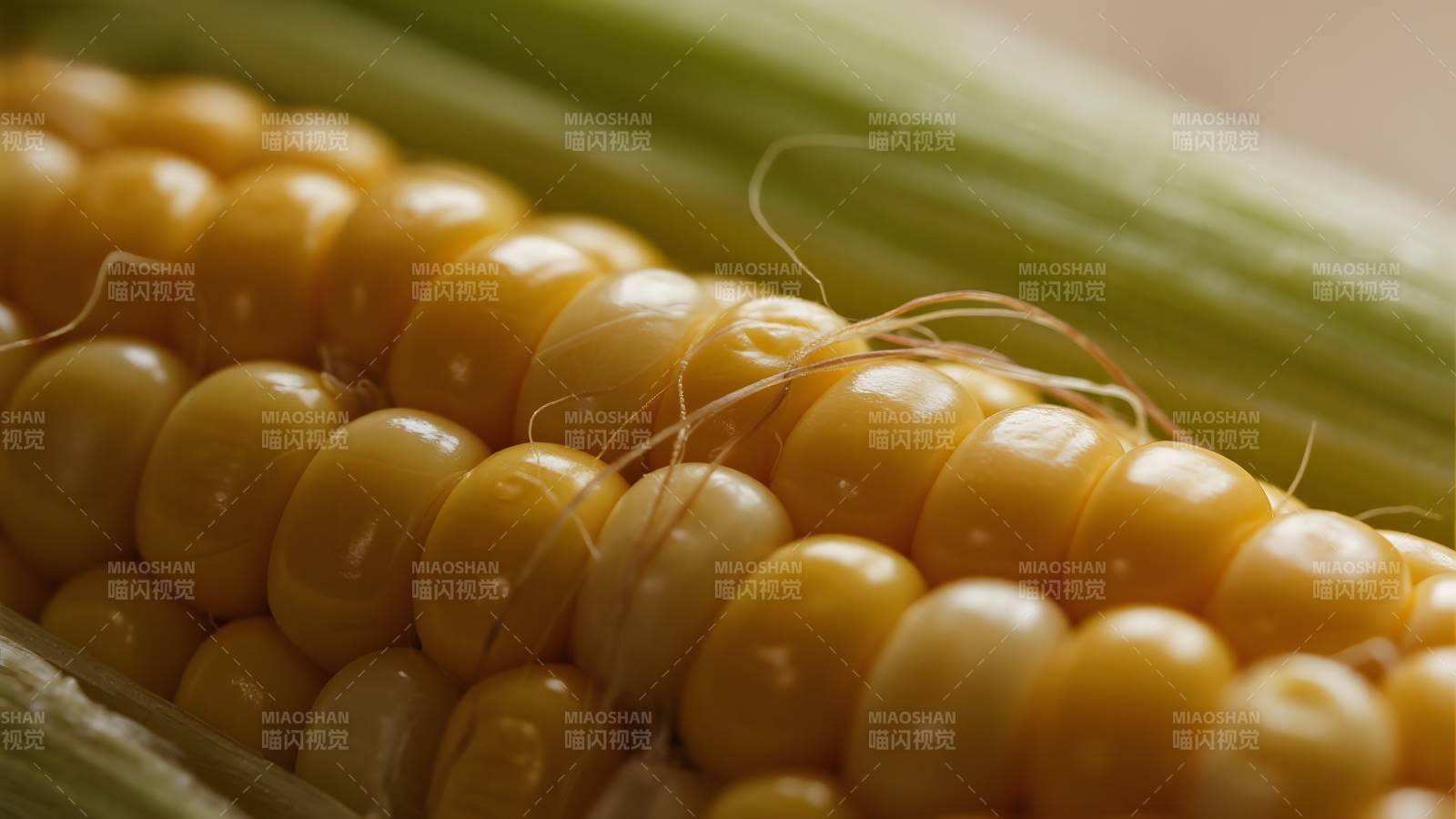 金黄玉米特写图片