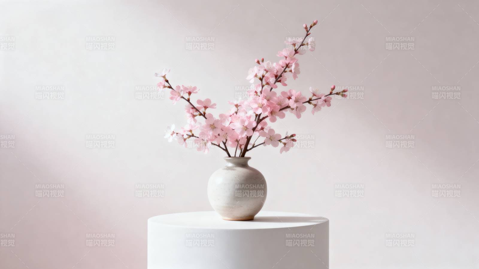 樱花静置 淡雅之美图片