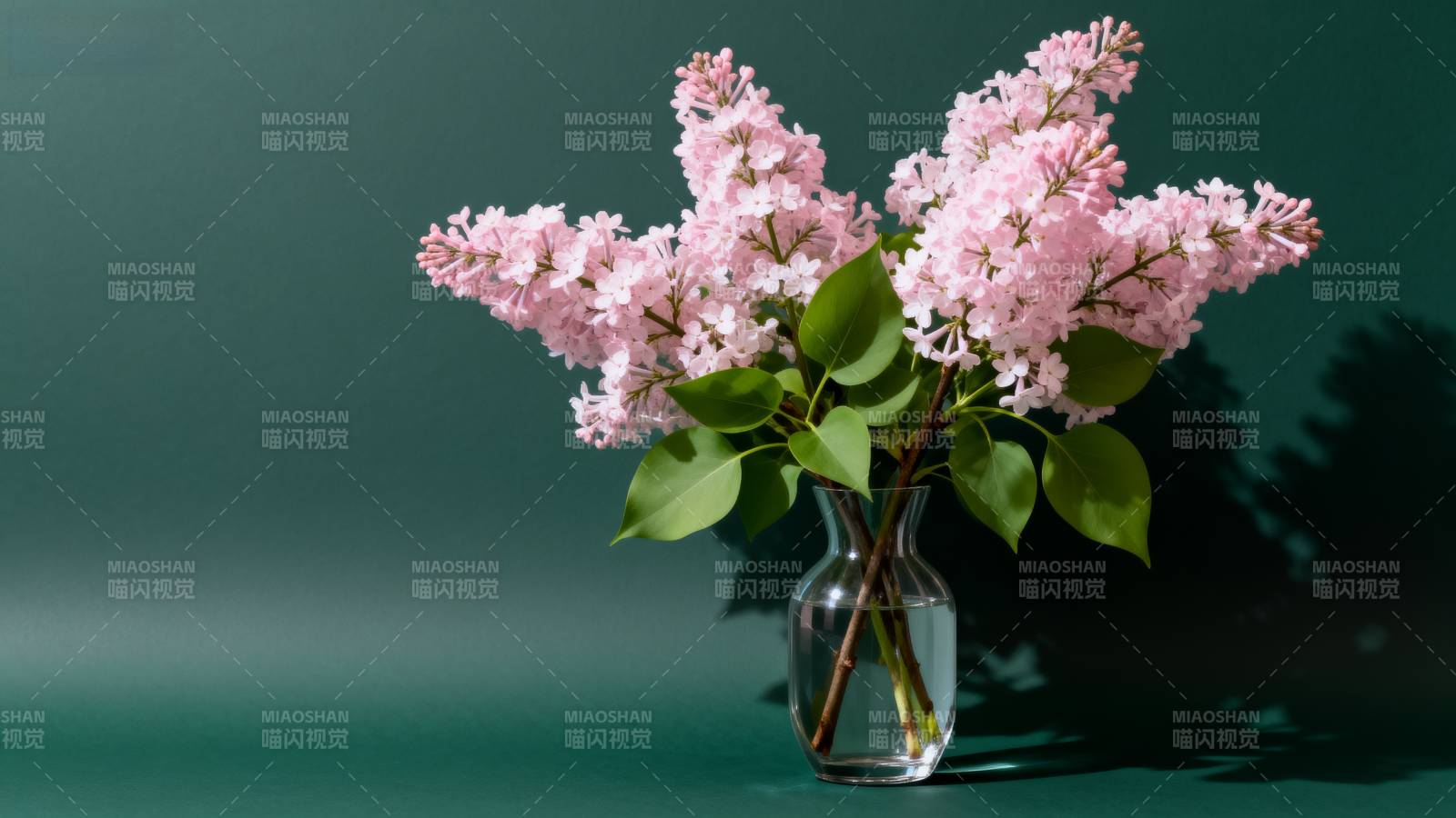 粉花绿叶映瓶中图片