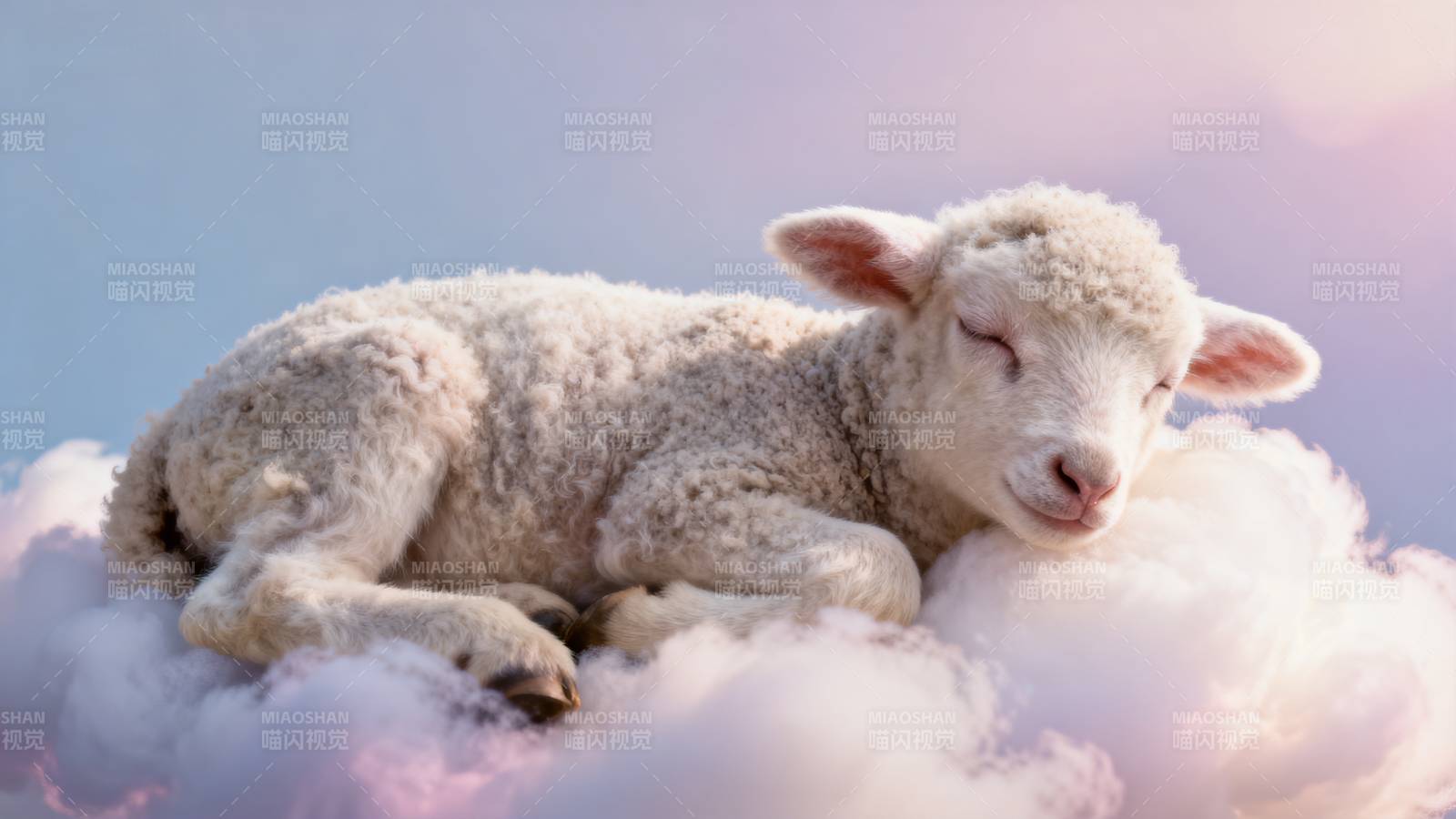 云上小羊梦乡图片