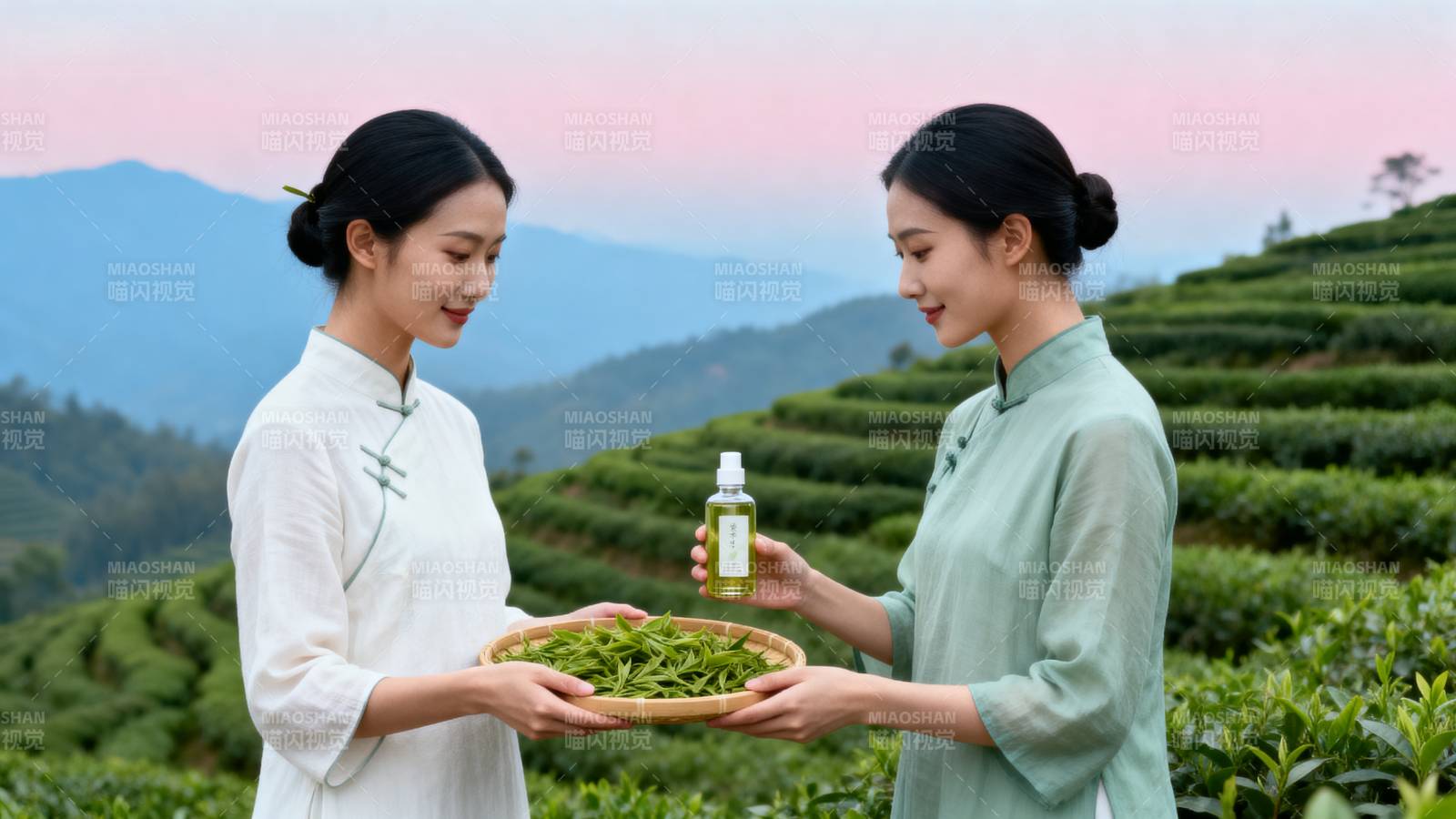 茶园采茶图图片