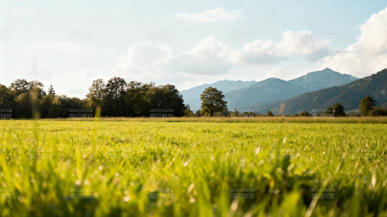 绿野山峦图图片