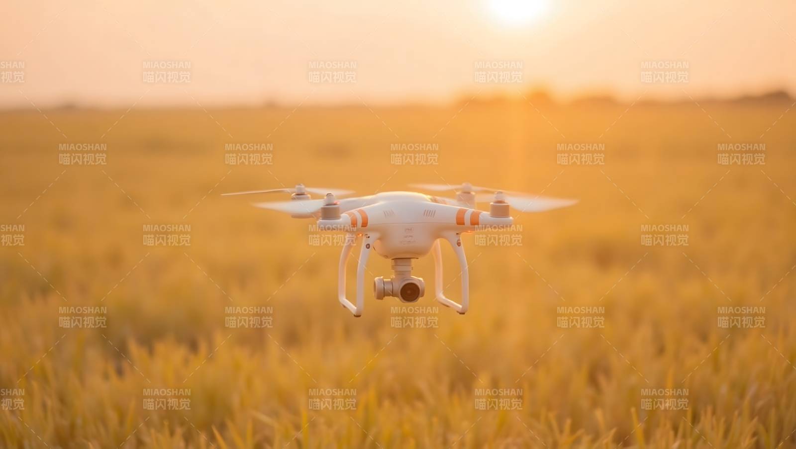 无人机飞越麦田图片