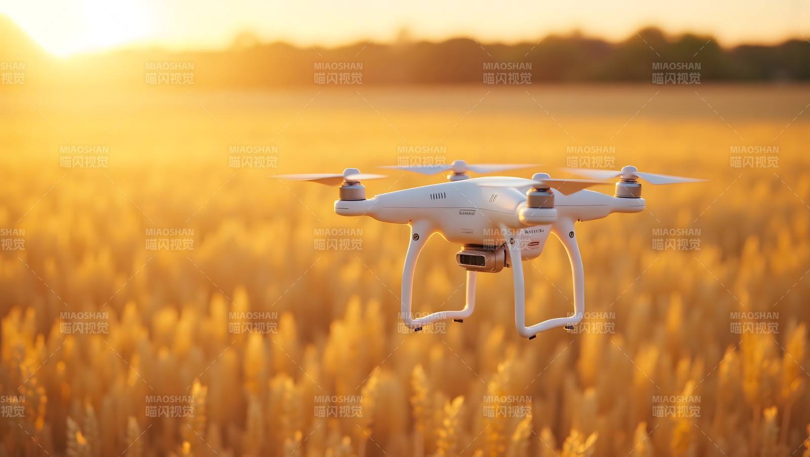 无人机飞越金田图片