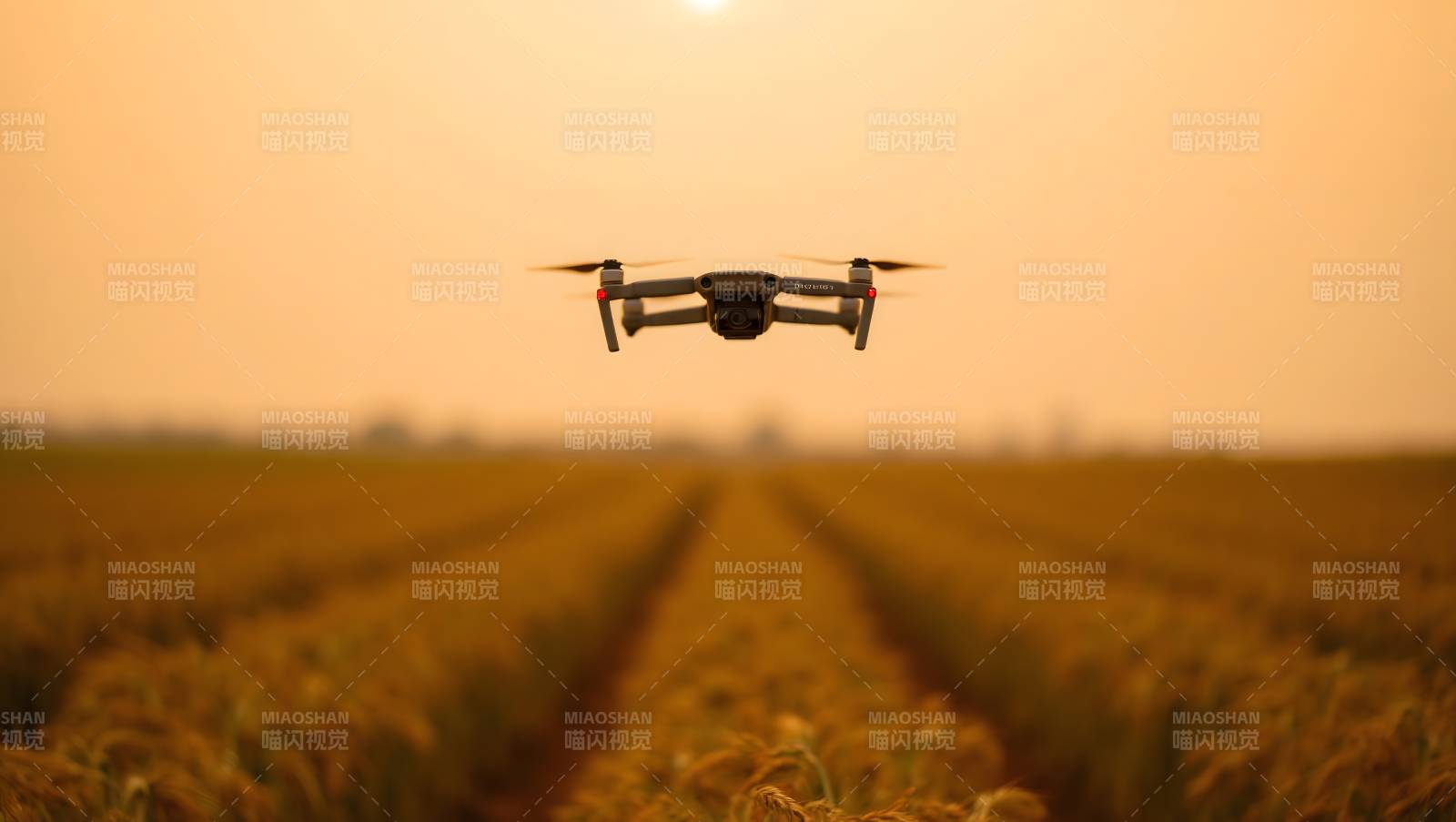 无人机飞越麦田图片