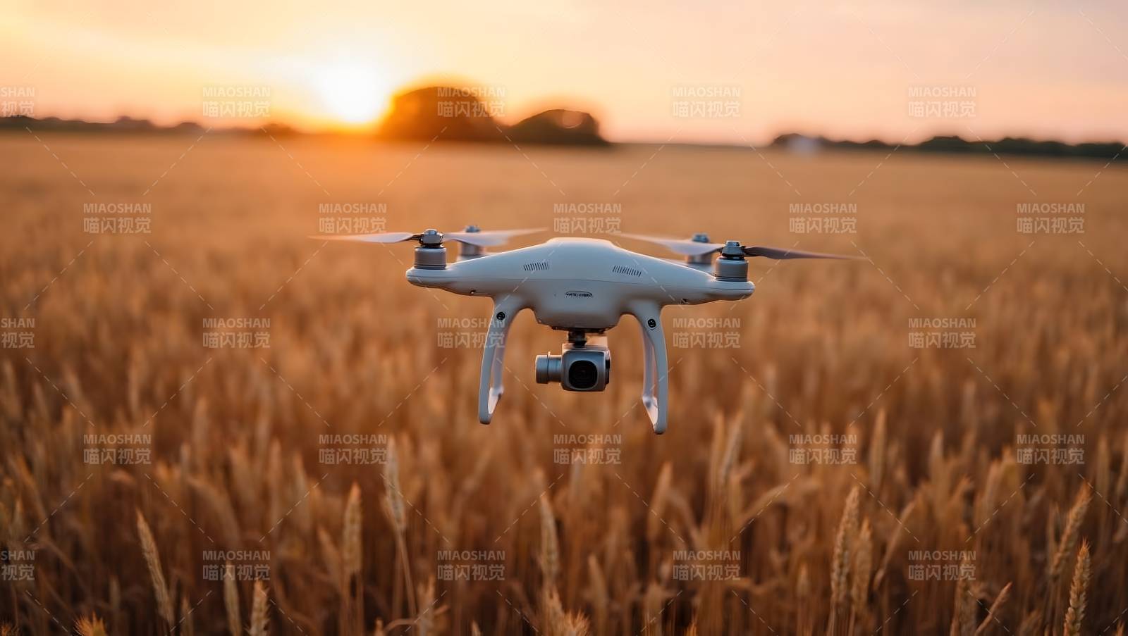 无人机飞越麦田图片