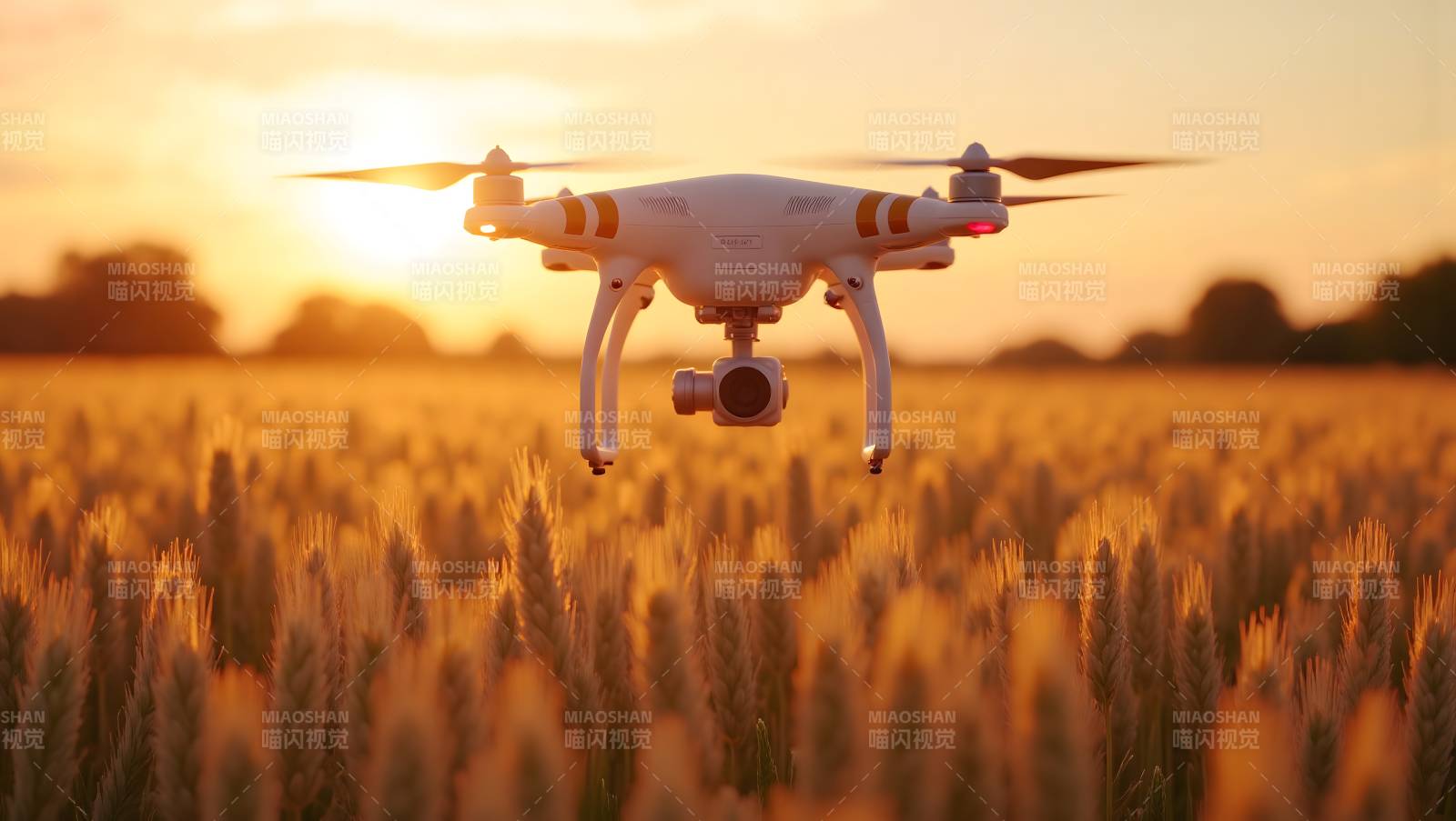 无人机飞越麦田图片