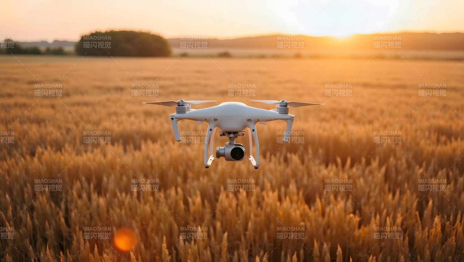 无人机飞越麦田图片