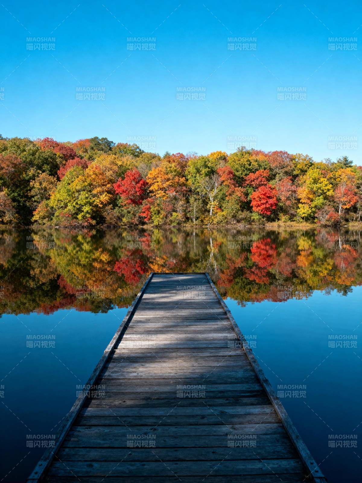 秋湖木栈道图片