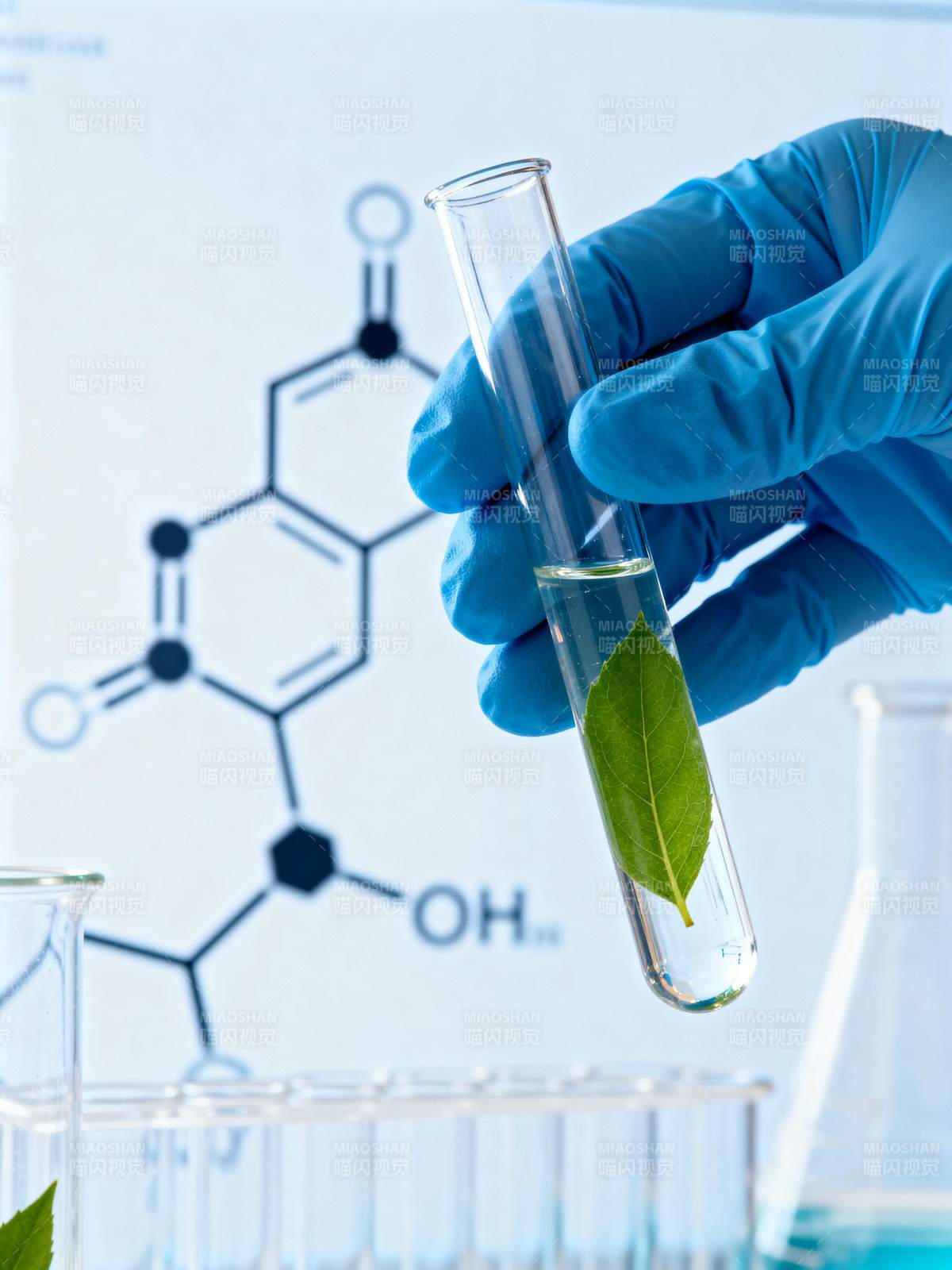 叶绿素化学分析图片
