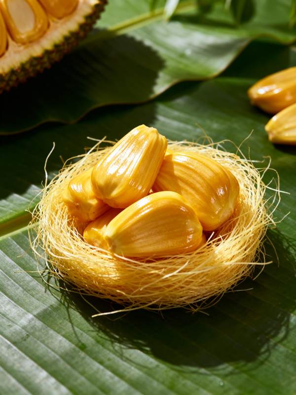 金果巢中卧绿叶图片