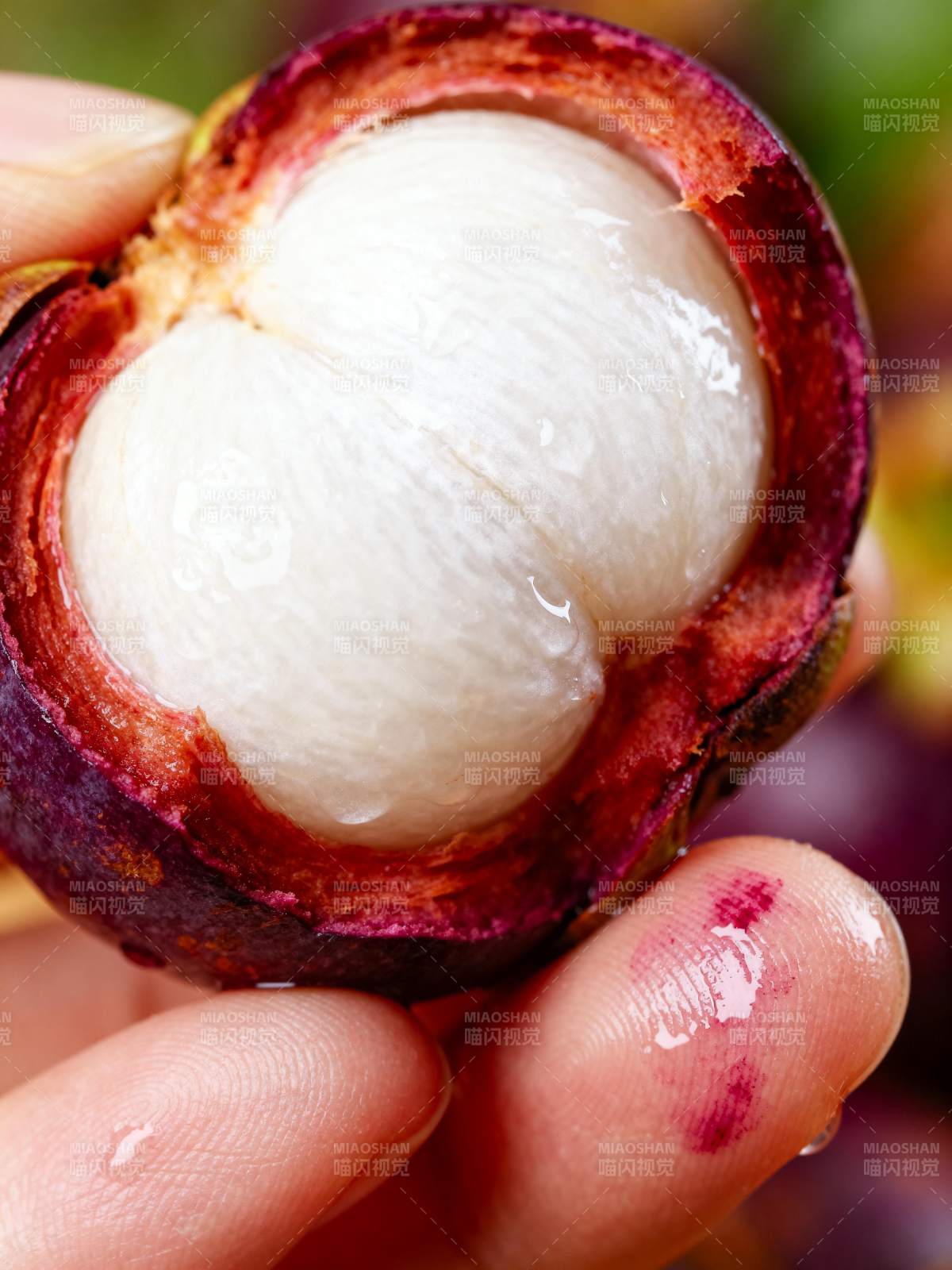 新鲜山竹果肉特写图片