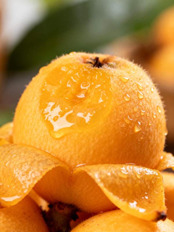 金桔滴露 鲜甜诱人图片