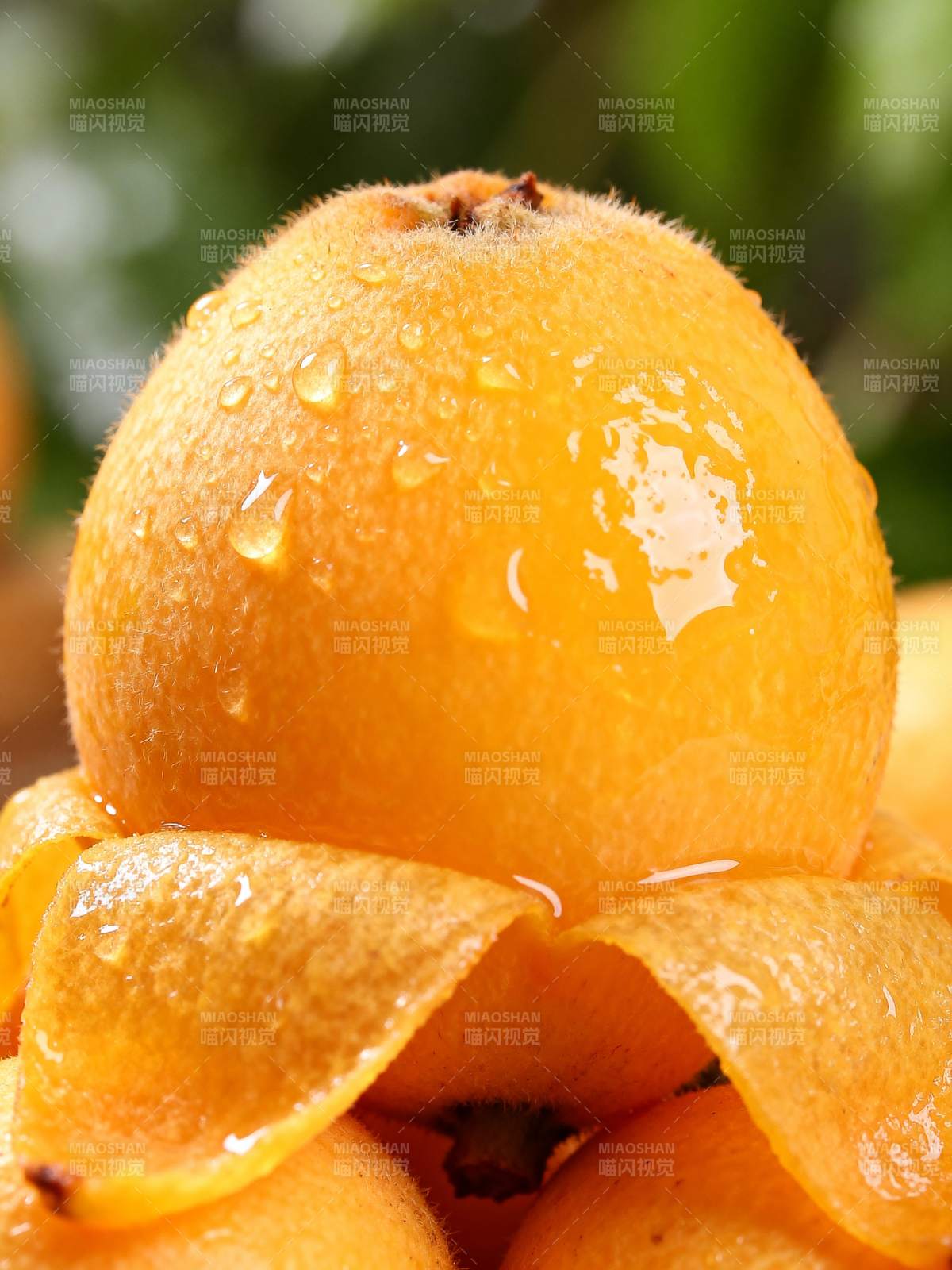 橙香四溢图片